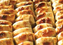 �����Ӻͱ�Ƥ����