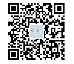 ���ڱ�����ʼ��